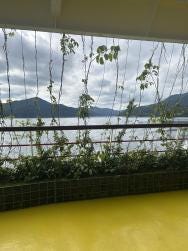 Foto 2 de 7