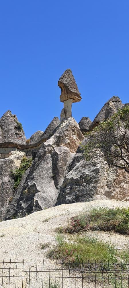 Foto 1 de 1
