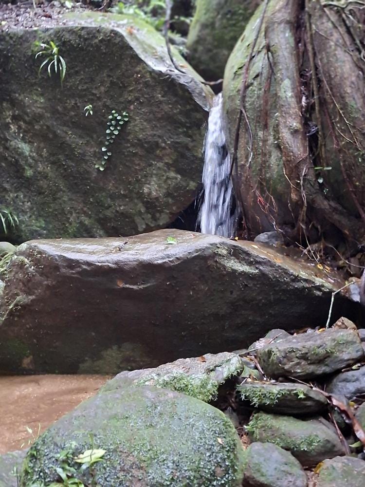 Foto 2 de 3