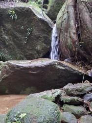Foto 2 de 3