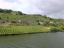 Foto 1 de 3