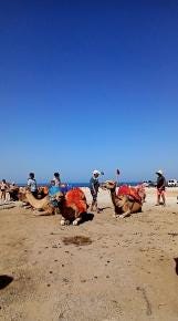 Foto 4 de 5