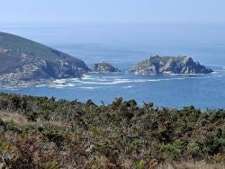 Foto 3 de 3