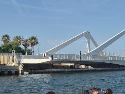 Foto 8 de 9