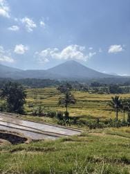 Foto 1 de 2