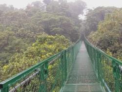Foto 2 de 5