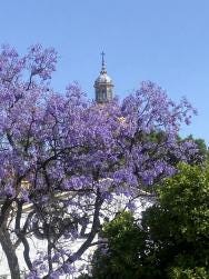 Foto 1 de 1