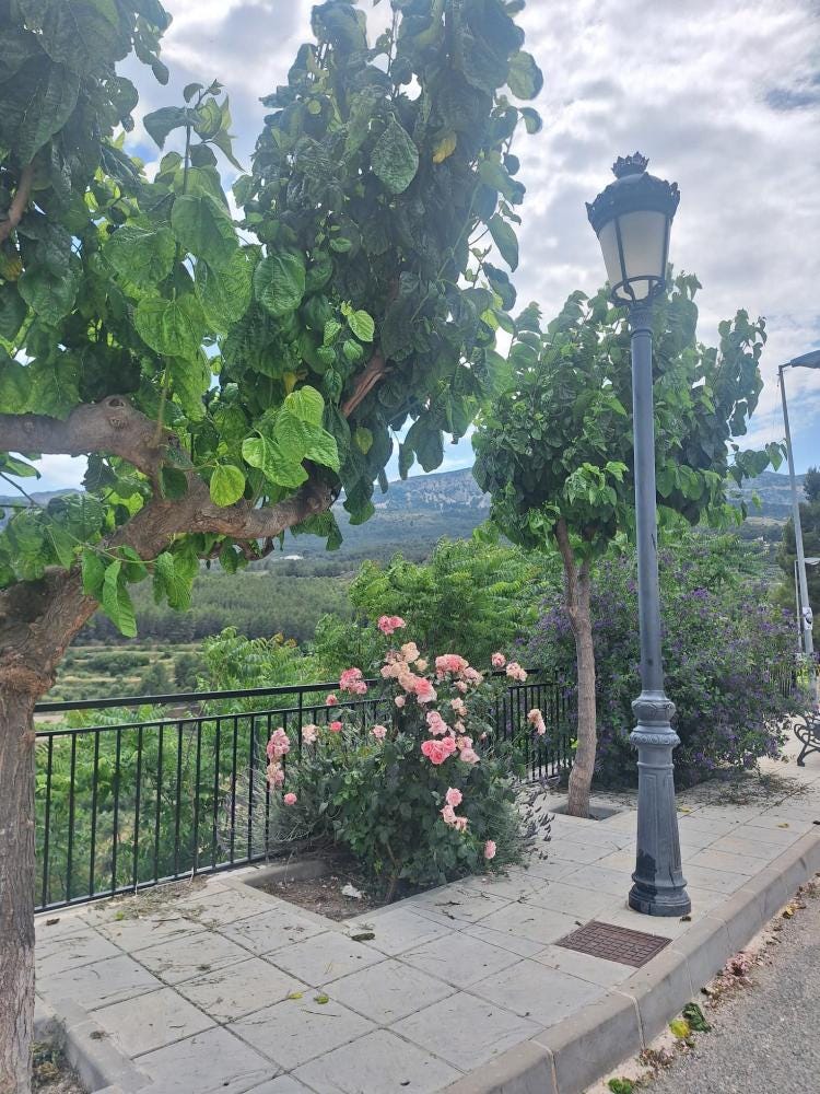 Foto 2 de 10