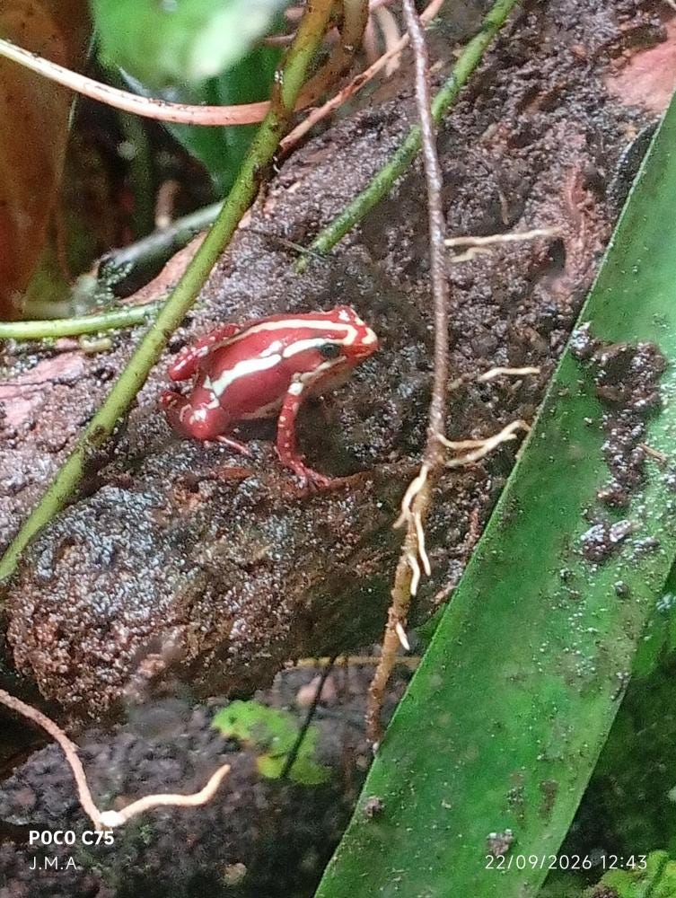 Foto 3 de 3
