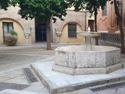Foto 5 de 5