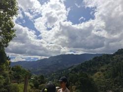 Foto 2 de 4