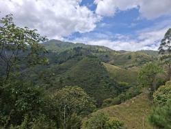 Foto 3 de 4