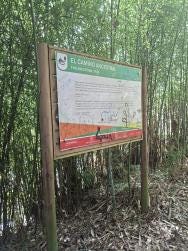 Foto 4 de 4