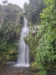 Foto 1 de 4