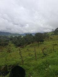 Foto 3 de 4