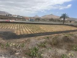 Foto 1 de 4