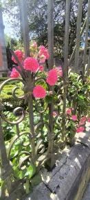 Foto 3 de 6