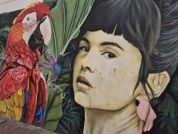 Foto 2 de 2
