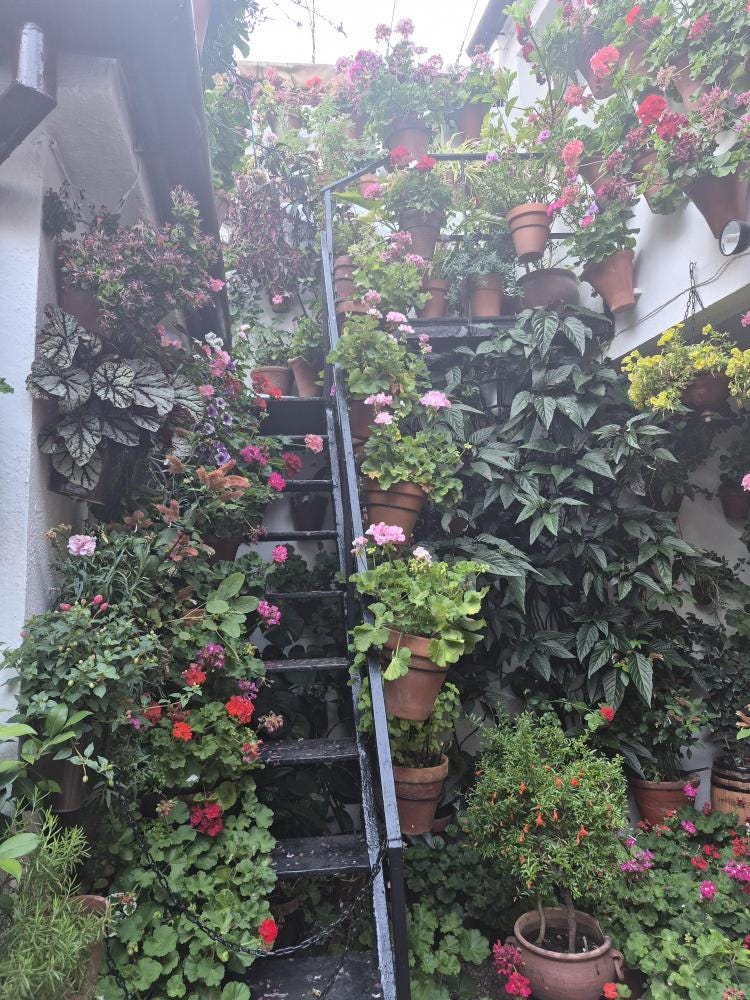 Foto 1 de 5