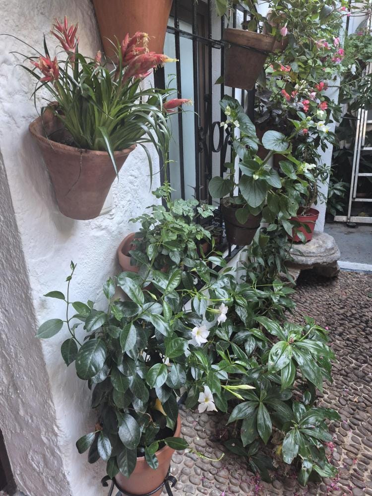 Foto 2 de 5