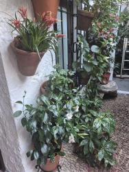 Foto 2 de 5