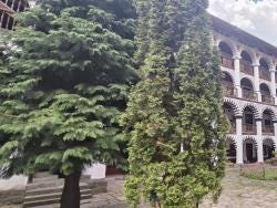 Foto 6 de 9