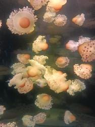 Foto 4 de 7