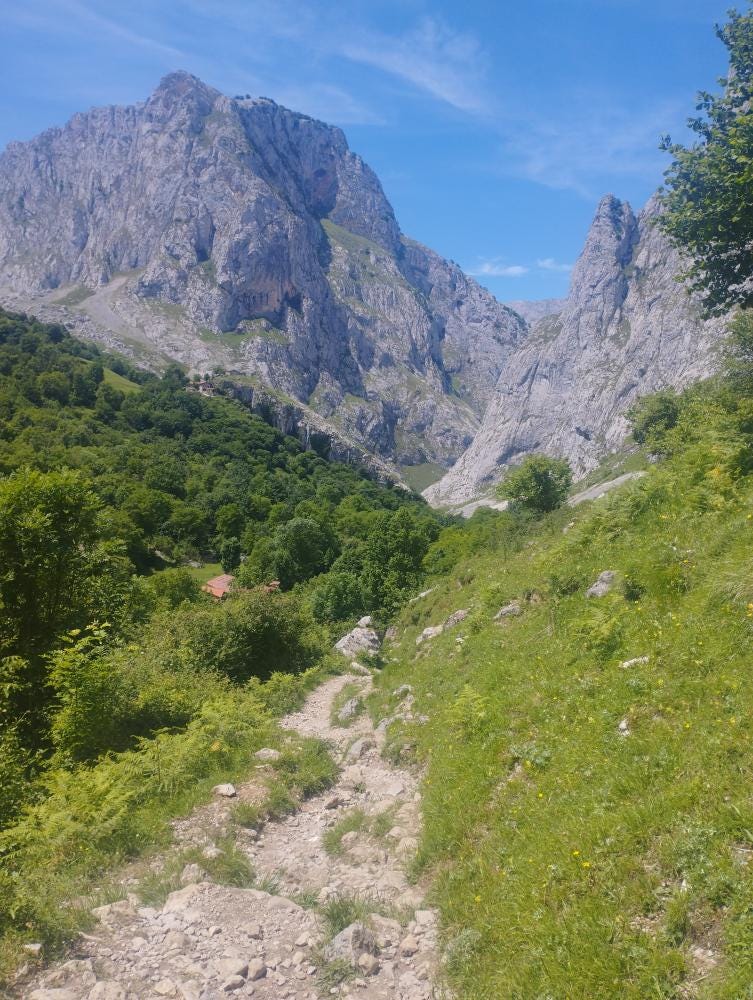 Foto 3 di 3