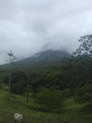 Foto 2 de 3
