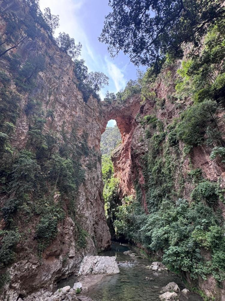 Foto 1 de 3