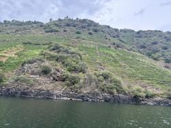 Foto 1 de 1