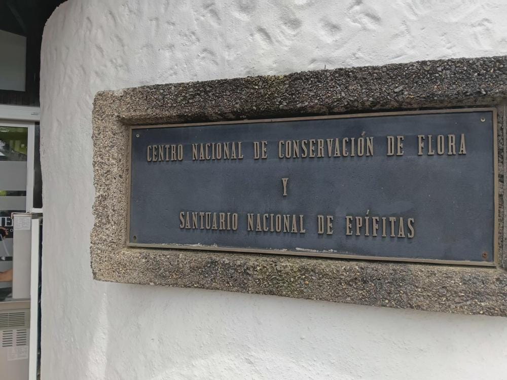 Foto 4 de 8