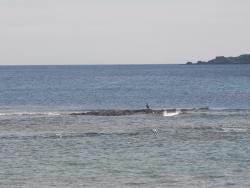 Foto 3 de 5