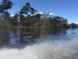 Foto 2 de 3