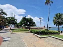 Foto 3 de 4