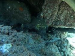 Foto 2 de 3
