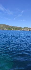Foto 6 de 7