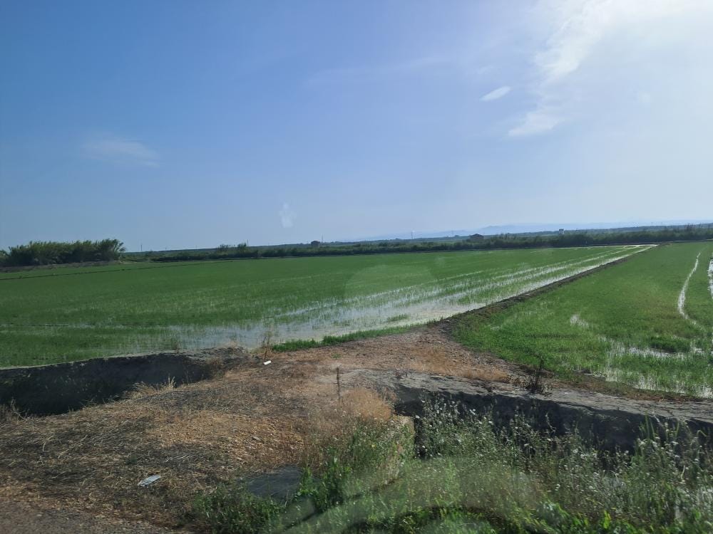 Foto 5 de 5