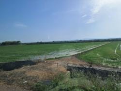 Foto 5 de 5