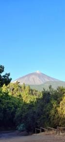 Foto 1 de 2
