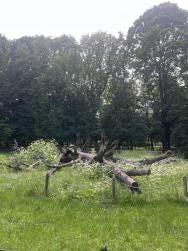 Foto 3 de 5