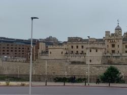 Foto 8 de 8