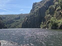 Foto 1 de 1
