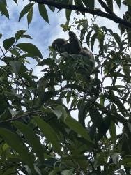 Foto 4 de 7