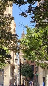 Foto 1 de 8
