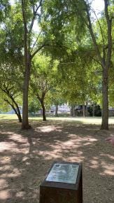 Foto 8 de 8