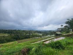Foto 2 de 3