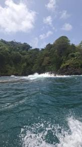 Foto 5 de 6