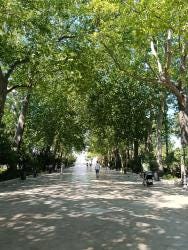 Foto 3 de 3