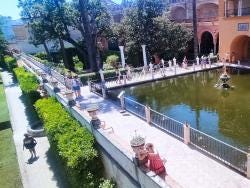 Foto 1 de 7